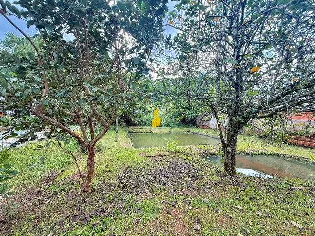 Imagem 5: Casa com 03 dorm. em um terreno com 740 m² à venda em Timbó