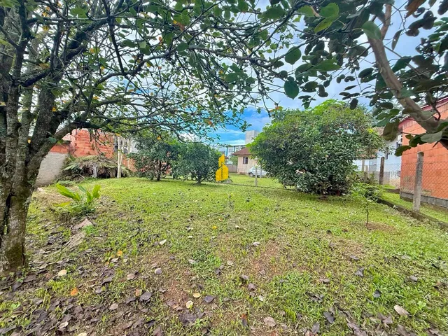 Imagem 6: Casa com 03 dorm. em um terreno com 740 m² à venda em Timbó