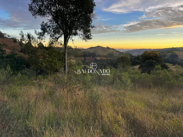 Imagem 8: TERRENO A VENDA EM TOLEDO MG 2 HECTARES 20 MIL METROS COM NASCENTE