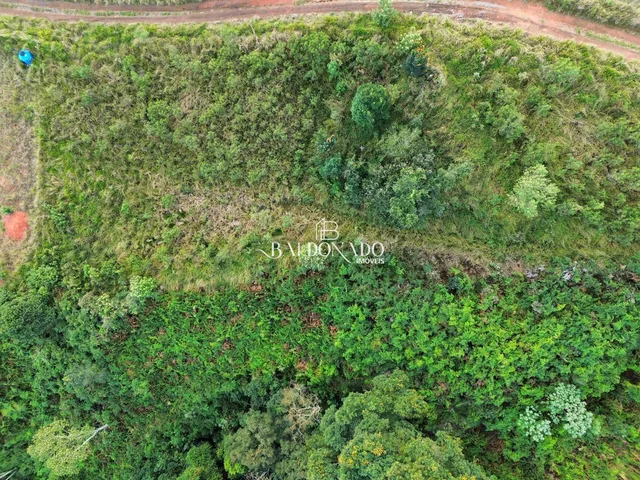 Imagem 14: TERRENO A VENDA EM TOLEDO MG 2 HECTARES 20 MIL METROS COM NASCENTE