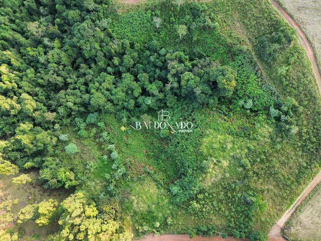 Imagem 12: TERRENO A VENDA EM TOLEDO MG 2 HECTARES 20 MIL METROS COM NASCENTE
