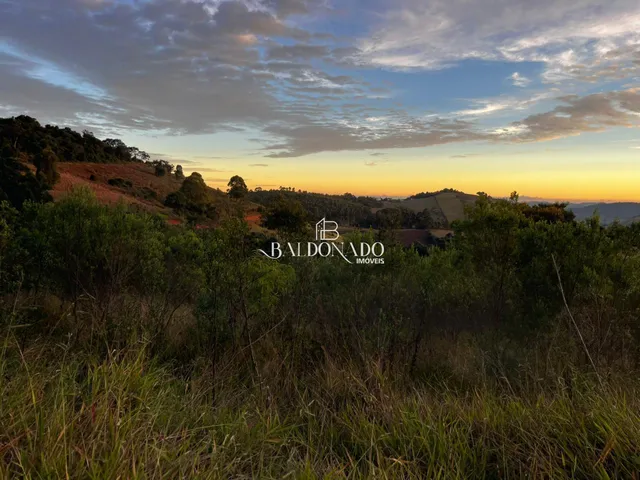 Imagem 2: TERRENO A VENDA EM TOLEDO MG 2 HECTARES 20 MIL METROS COM NASCENTE