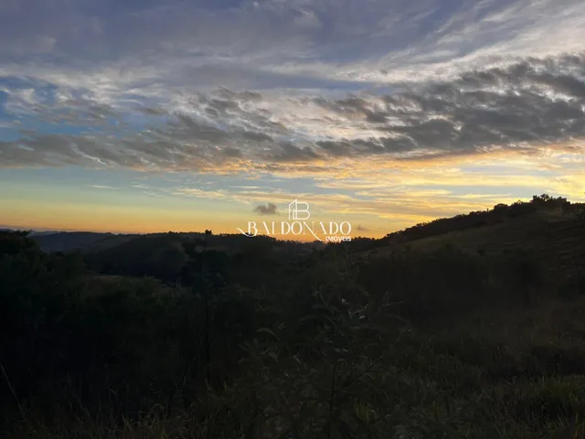 Imagem 3: TERRENO A VENDA EM TOLEDO MG 2 HECTARES 20 MIL METROS COM NASCENTE