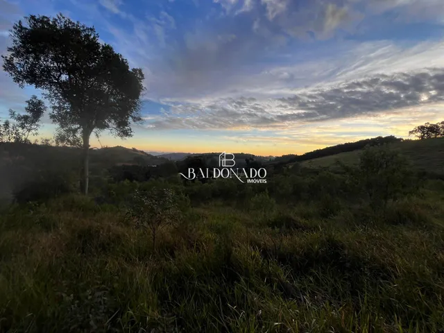 Imagem 4: TERRENO A VENDA EM TOLEDO MG 2 HECTARES 20 MIL METROS COM NASCENTE