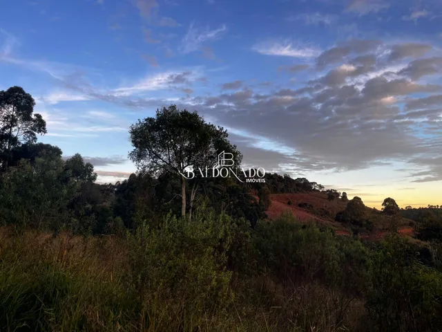 Imagem 5: TERRENO A VENDA EM TOLEDO MG 2 HECTARES 20 MIL METROS COM NASCENTE