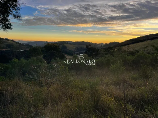 Imagem 6: TERRENO A VENDA EM TOLEDO MG 2 HECTARES 20 MIL METROS COM NASCENTE