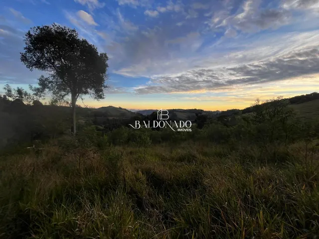 Imagem 7: TERRENO A VENDA EM TOLEDO MG 2 HECTARES 20 MIL METROS COM NASCENTE