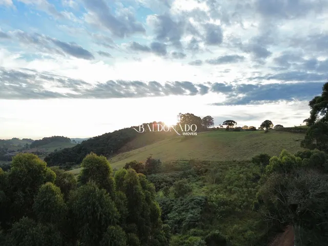 Imagem 11: TERRENO A VENDA EM TOLEDO MG 2 HECTARES 20 MIL METROS COM NASCENTE
