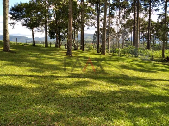 Imagem 2: Chácara à venda, BR277 Prudentópolis, PRUDENTOPOLIS - PR