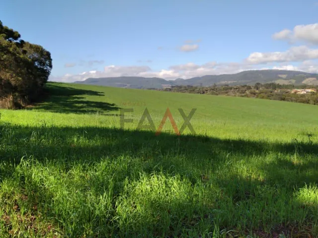 Imagem 5: Chácara à venda, BR277 Prudentópolis, PRUDENTOPOLIS - PR