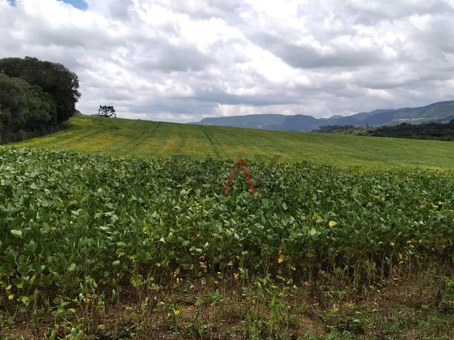 Imagem 7: Chácara à venda, BR277 Prudentópolis, PRUDENTOPOLIS - PR