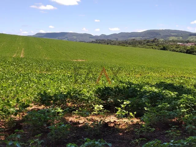 Imagem: Chácara à venda, BR277 Prudentópolis