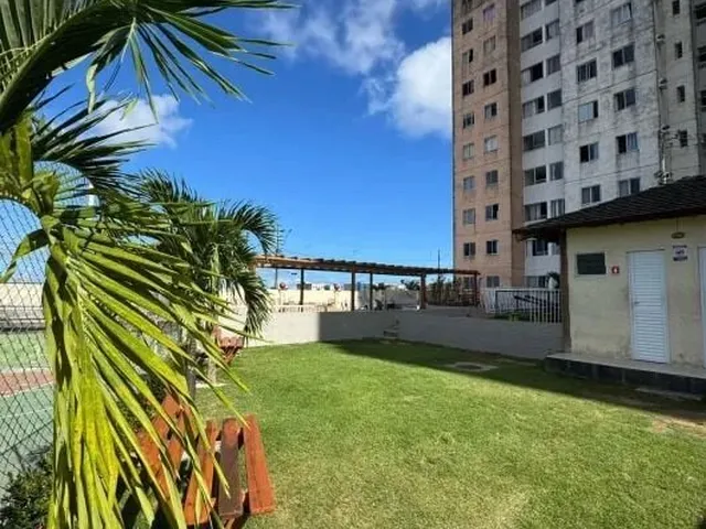 Imagem 10: Mirante da Paralela 2/4