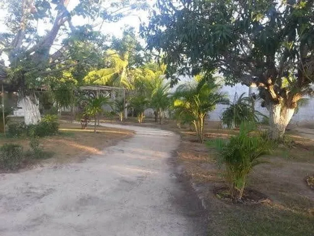 Imagem 12: SÍTIO / CHÁCARA COMERCIAL COM CASA - EUSÉBIO/CE