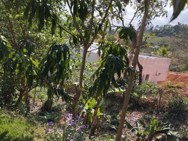 Imagem 3: CHÁCARA À VENDA - FAZENDA BOM JARDIM - BELO ORIENTE