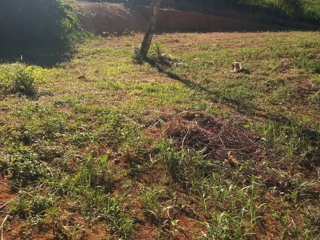 Imagem: EXCELENTE CHÁCARA À VENDA! FAZENDA BOM