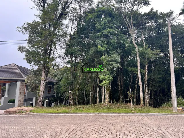 Imagem: Terreno no Vivendas do Arvoredo