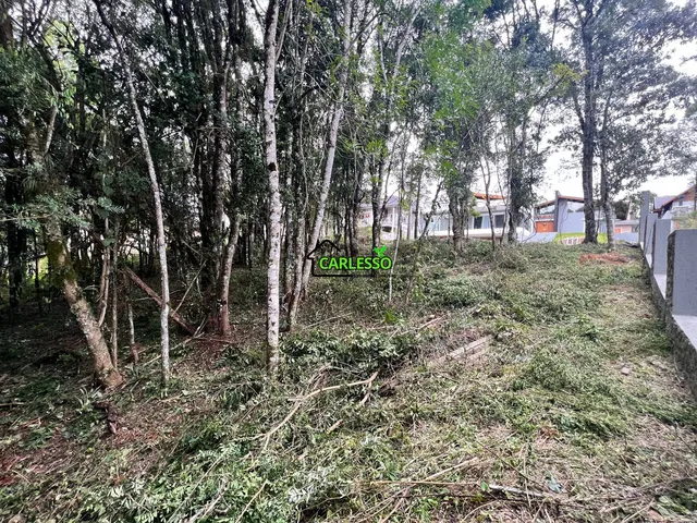 Imagem 2: Terreno no Vivendas do Arvoredo