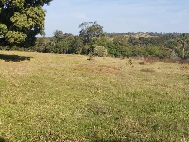 Imagem 7: Fazenda á Venda