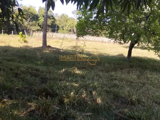 Imagem 4: Fazenda á Venda