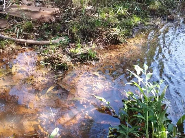 Imagem 3: Fazenda á Venda