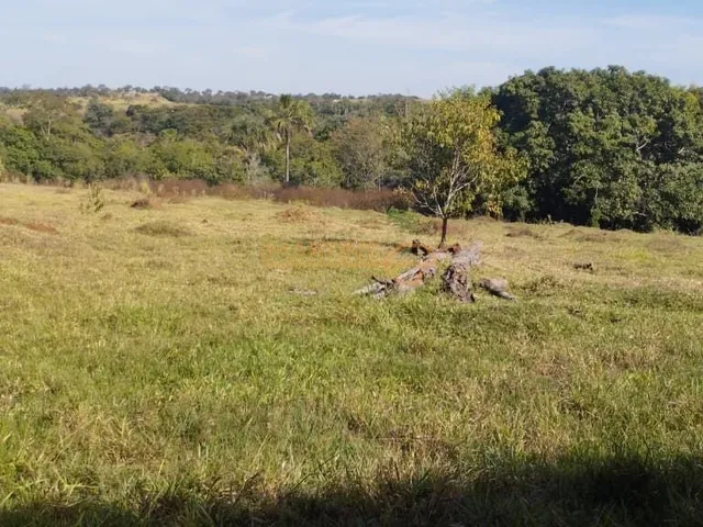 Imagem 9: Fazenda á Venda