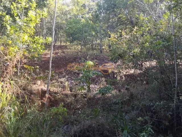 Imagem 5: Fazenda á Venda