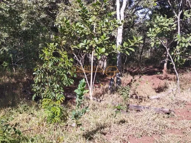 Imagem 2: Fazenda á Venda