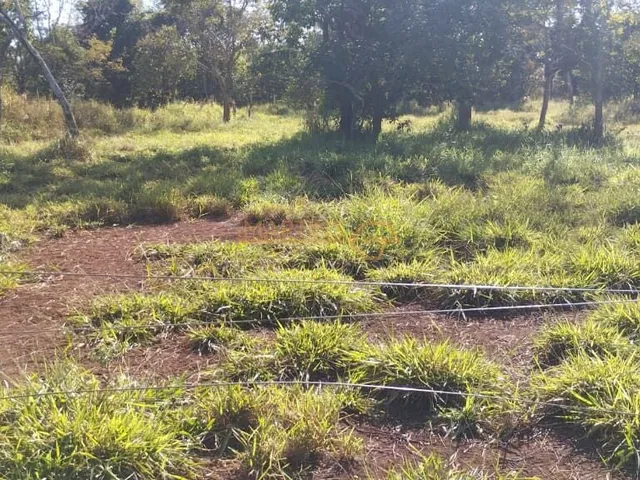Imagem 6: Fazenda á Venda