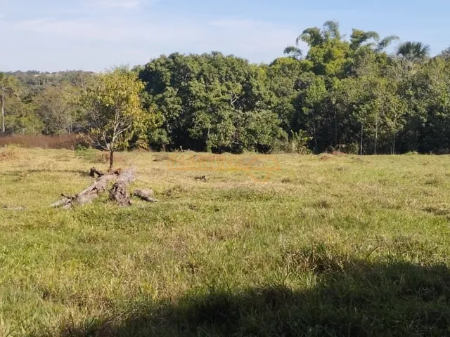 Imagem 8: Fazenda á Venda