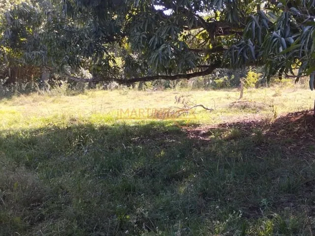 Imagem 11: Fazenda á Venda