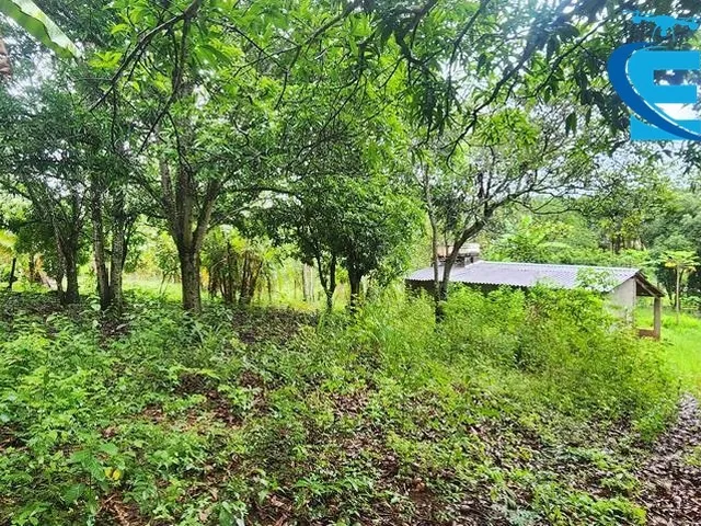 Imagem 13: Rancho 2.000 m2 - Condomínio Miranda I - Terra de Cultura - Lazer e moradia!
