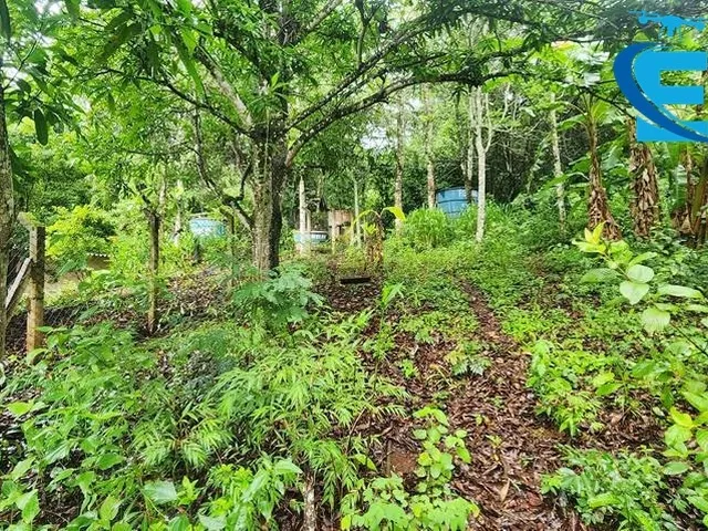Imagem 9: Rancho 2.000 m2 - Condomínio Miranda I - Terra de Cultura - Lazer e moradia!