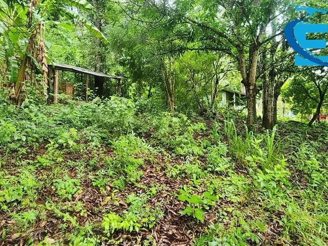 Imagem 3: Rancho 2.000 m2 - Condomínio Miranda I - Terra de Cultura - Lazer e moradia!