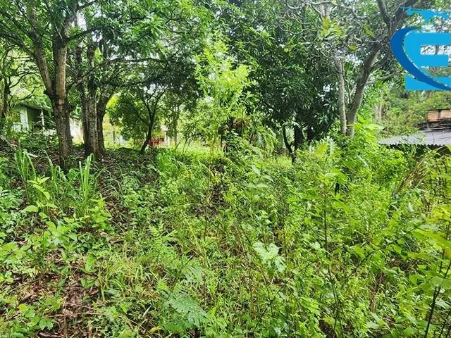 Imagem 11: Rancho 2.000 m2 - Condomínio Miranda I - Terra de Cultura - Lazer e moradia!