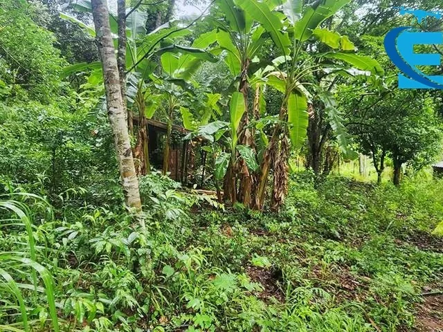 Imagem 6: Rancho 2.000 m2 - Condomínio Miranda I - Terra de Cultura - Lazer e moradia!