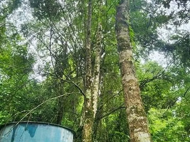 Imagem 2: Rancho 2.000 m2 - Condomínio Miranda I - Terra de Cultura - Lazer e moradia!
