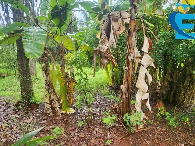 Imagem 8: Rancho 2.000 m2 - Condomínio Miranda I - Terra de Cultura - Lazer e moradia!