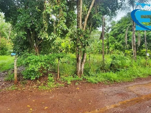 Imagem 16: Rancho 2.000 m2 - Condomínio Miranda I - Terra de Cultura - Lazer e moradia!