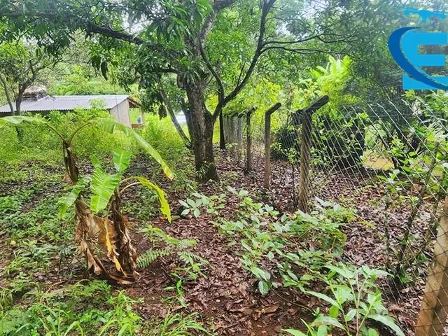 Imagem 15: Rancho 2.000 m2 - Condomínio Miranda I - Terra de Cultura - Lazer e moradia!