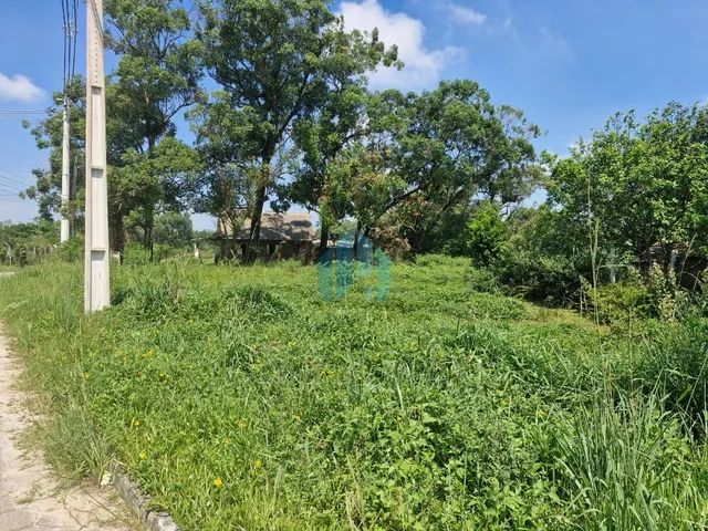 Imagem 5: Amplo Terreno a Poucos Minutos do Centro da Cidade, Próximo às Praias do Rosa e