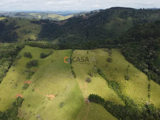 Imagem: FAZENDA RURAL em Campo Largo - PR, Estrado