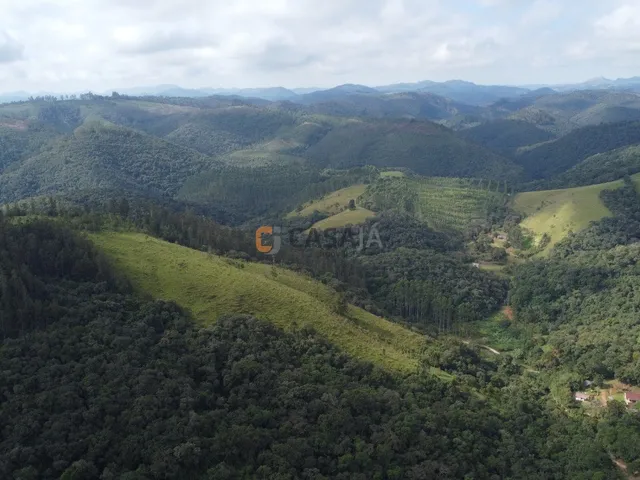 Imagem 11: FAZENDA RURAL em Campo Largo - PR, Estrado do Cerne