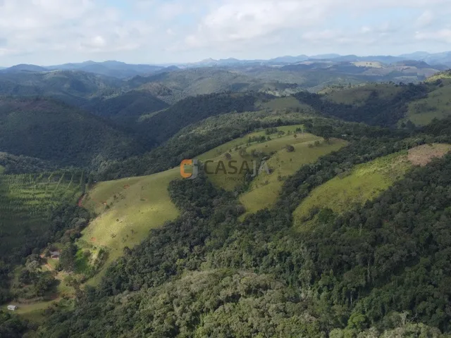 Imagem 5: FAZENDA RURAL em Campo Largo - PR, Estrado do Cerne