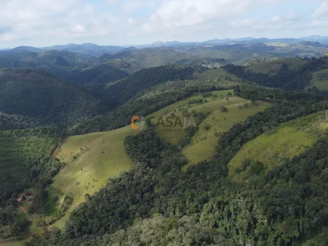 Imagem 12: FAZENDA RURAL em Campo Largo - PR, Estrado do Cerne