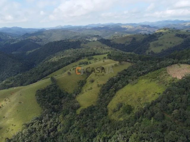 Imagem 8: FAZENDA RURAL em Campo Largo - PR, Estrado do Cerne