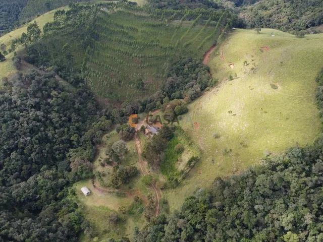 Imagem 10: FAZENDA RURAL em Campo Largo - PR, Estrado do Cerne