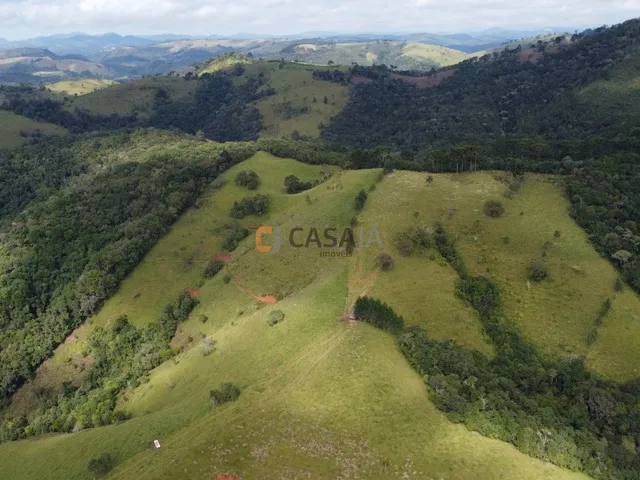 Imagem 7: FAZENDA RURAL em Campo Largo - PR, Estrado do Cerne