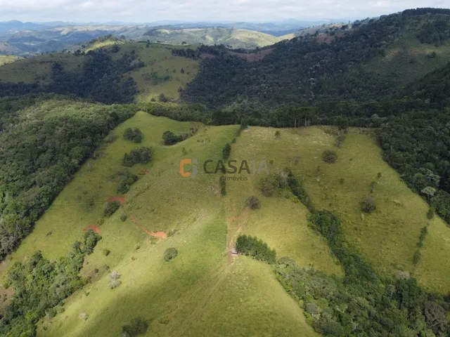 Imagem 14: FAZENDA RURAL em Campo Largo - PR, Estrado do Cerne
