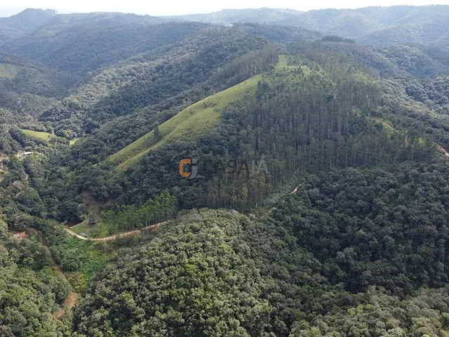 Imagem 3: FAZENDA RURAL em Campo Largo - PR, Estrado do Cerne